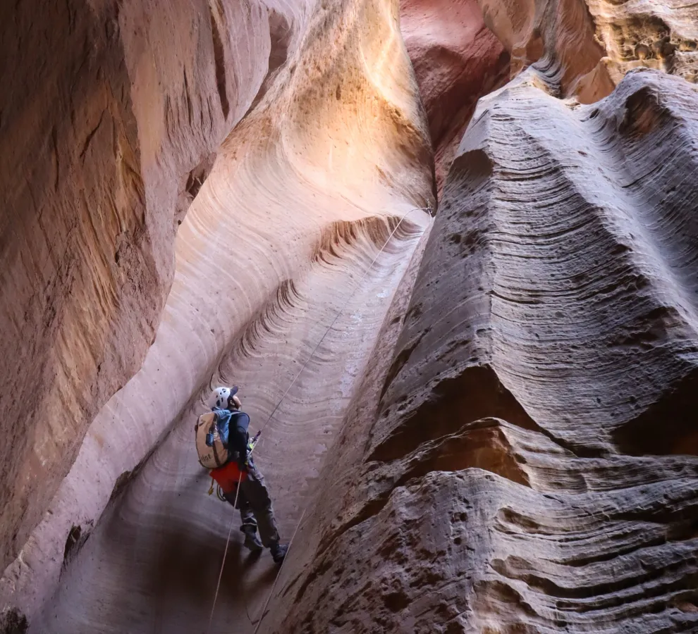 The Twilight Trekkers outdoors