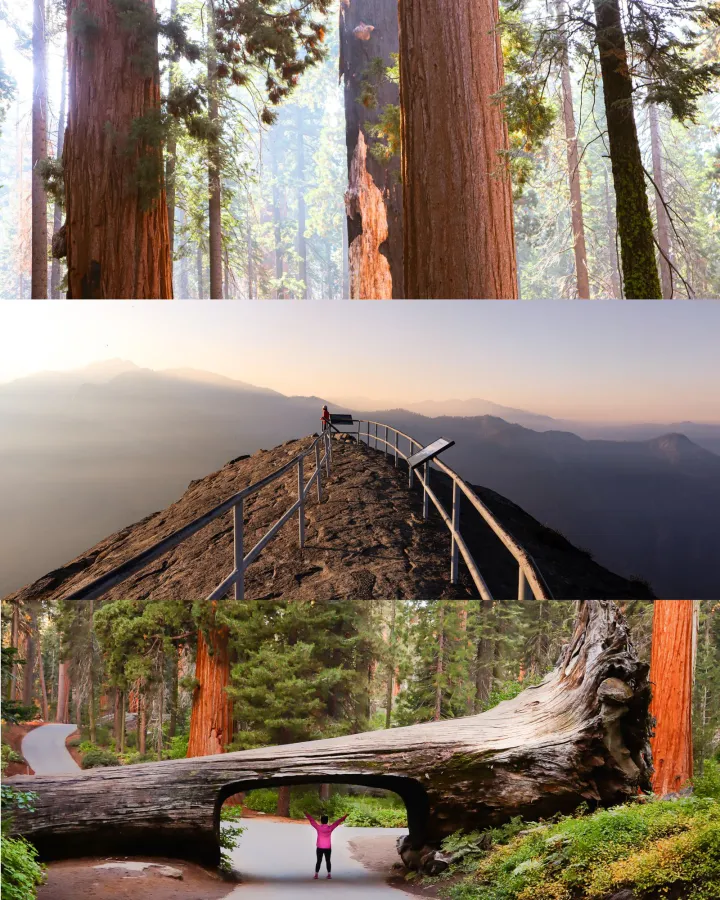 The Twilight Trekkers — Instagram carousels, image 2