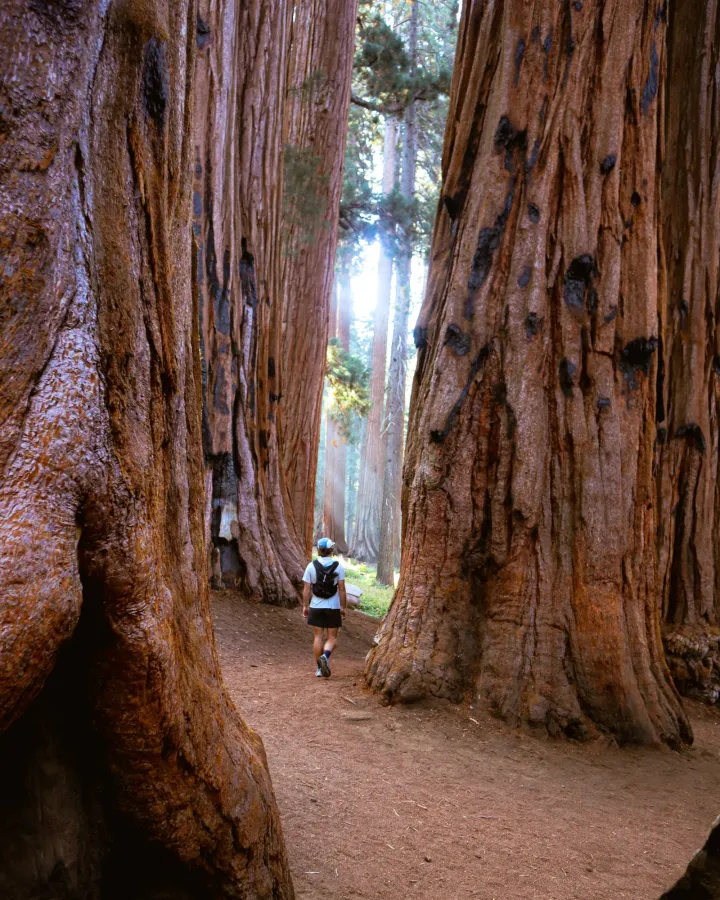 The Twilight Trekkers — Instagram carousels, image 4