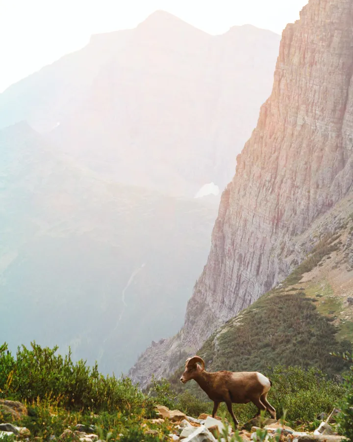 The Twilight Trekkers — Instagram carousels, image 7