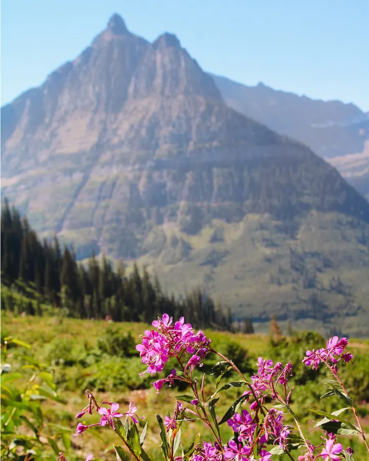 The Twilight Trekkers — Instagram carousels, image 10