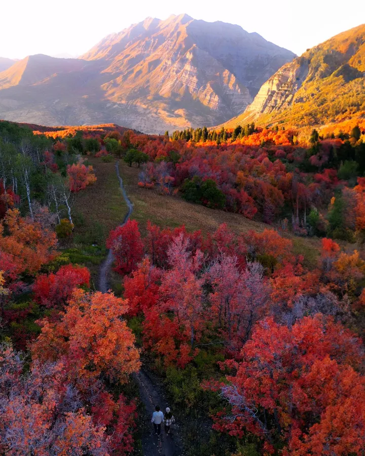 The Twilight Trekkers — Instagram carousels, image 15