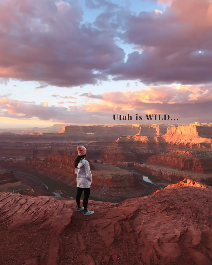 The Twilight Trekkers — Instagram carousels, image 21