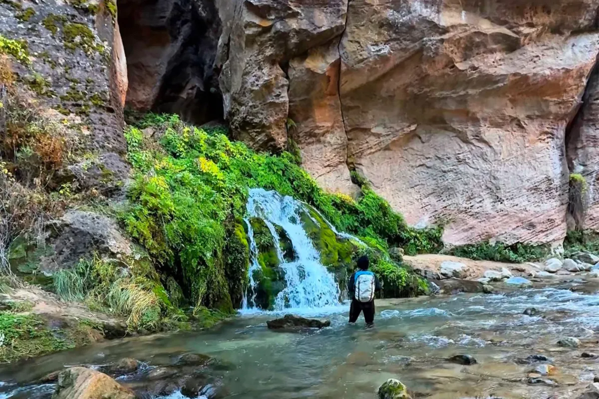 Waterfalls photograph by The Twilight Trekkers