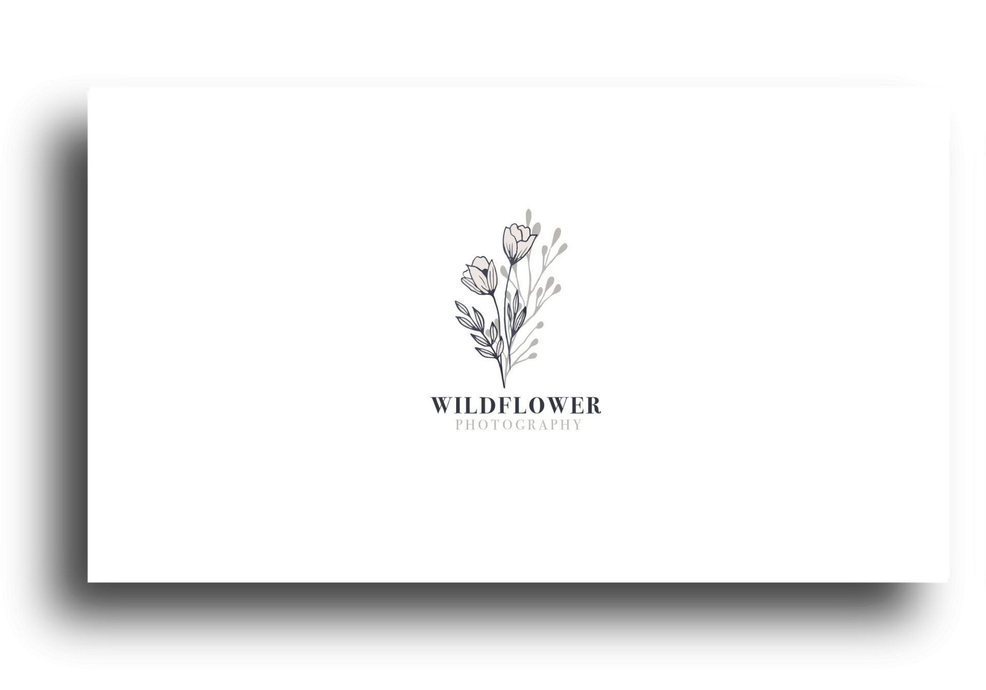 Wildflower Photography, image 4